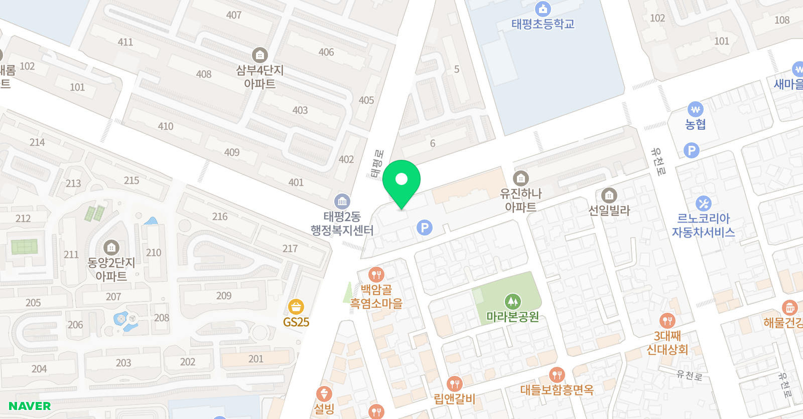 와이즈만 영재교육 대전버드내센터 위치