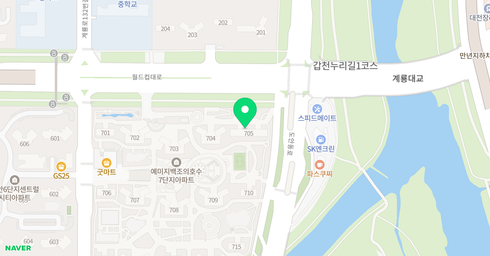 디어 바이올린 위치
