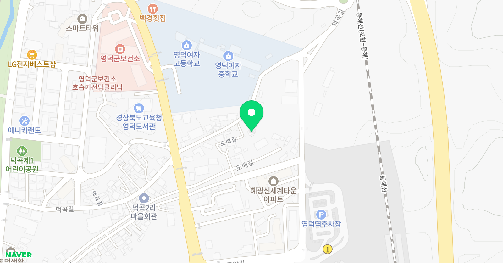 영덕미래양성관 위치
