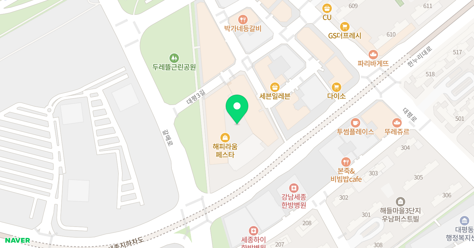 세종해피키즈풀  위치