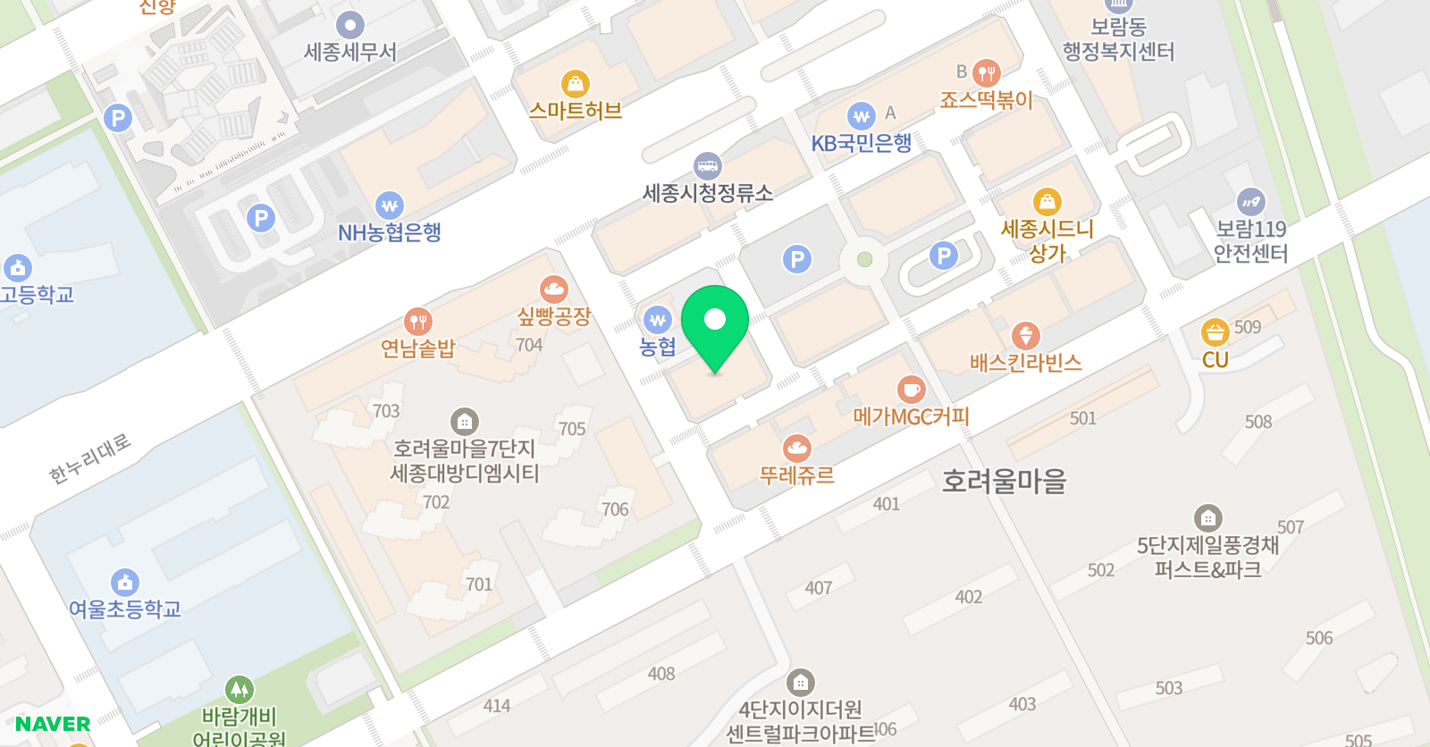 리드인 세종여울초 점 위치