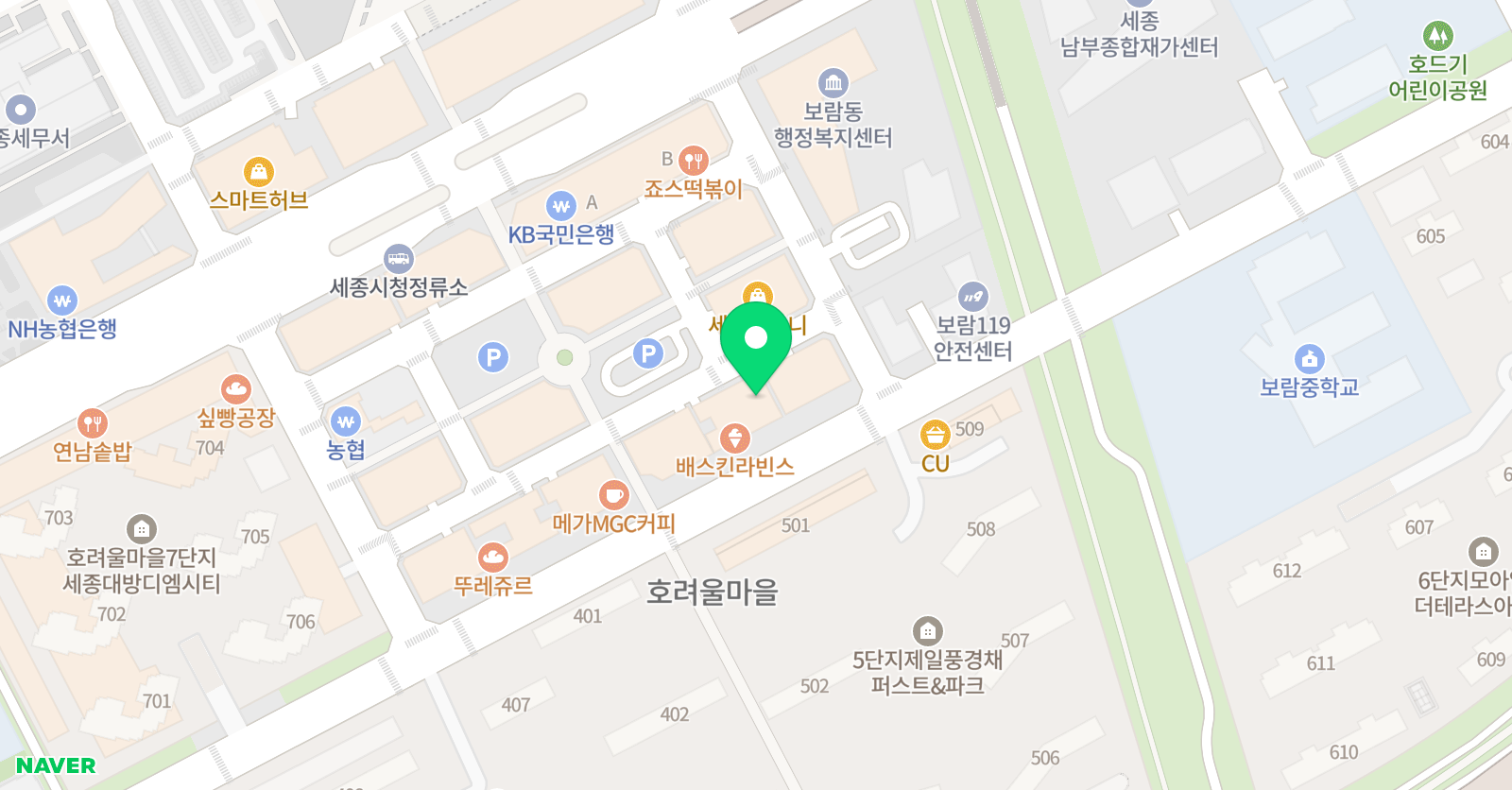 팀피니쉬 세종보람 MMA 킥복싱 주짓수 위치