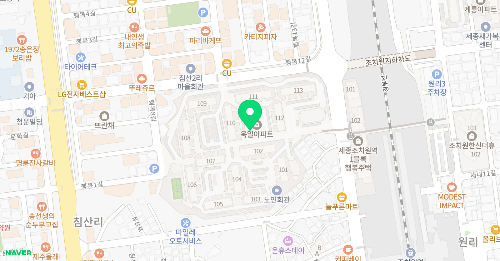 블루마린 조치원점 위치