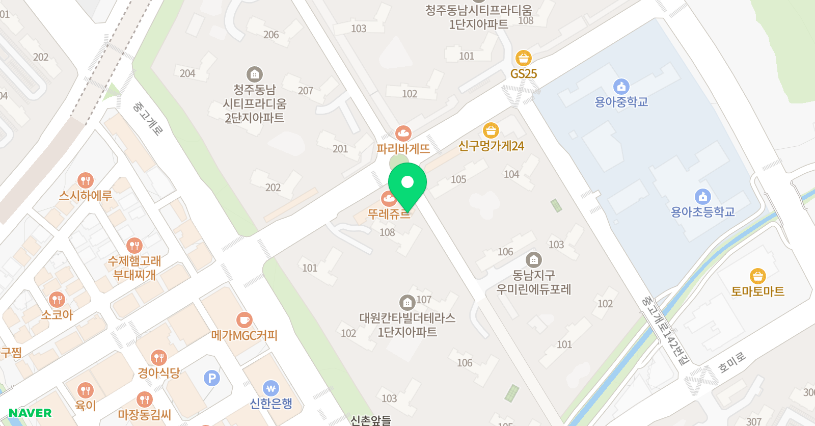 돌체 음악학원 위치