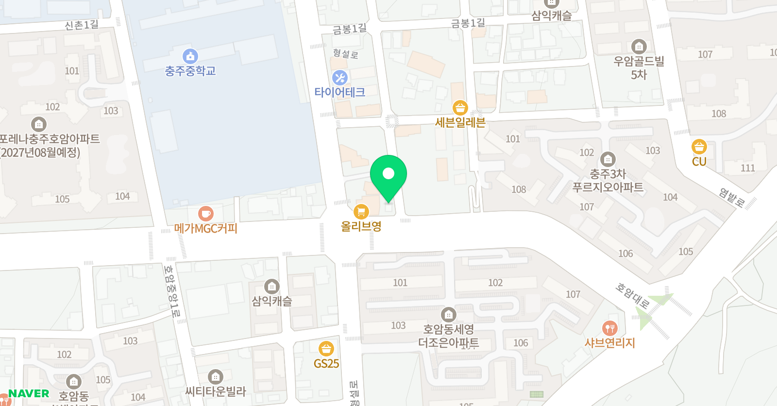 인온 주짓수 충주 위치