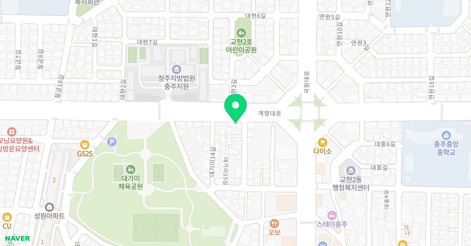 바이올린즈 위치