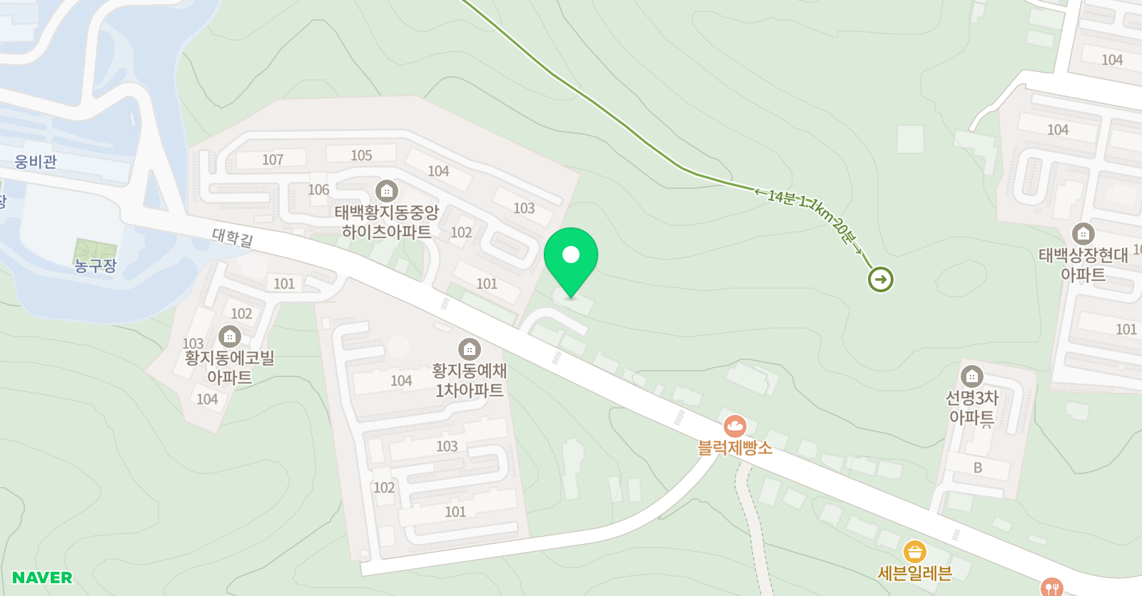 루시 줌바댄스 위치