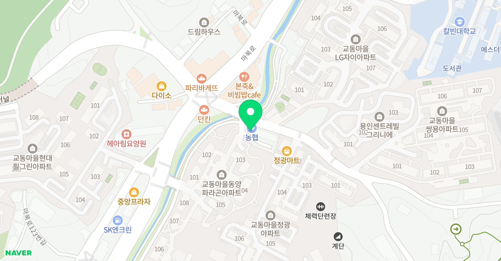 다이나믹 어학원 위치