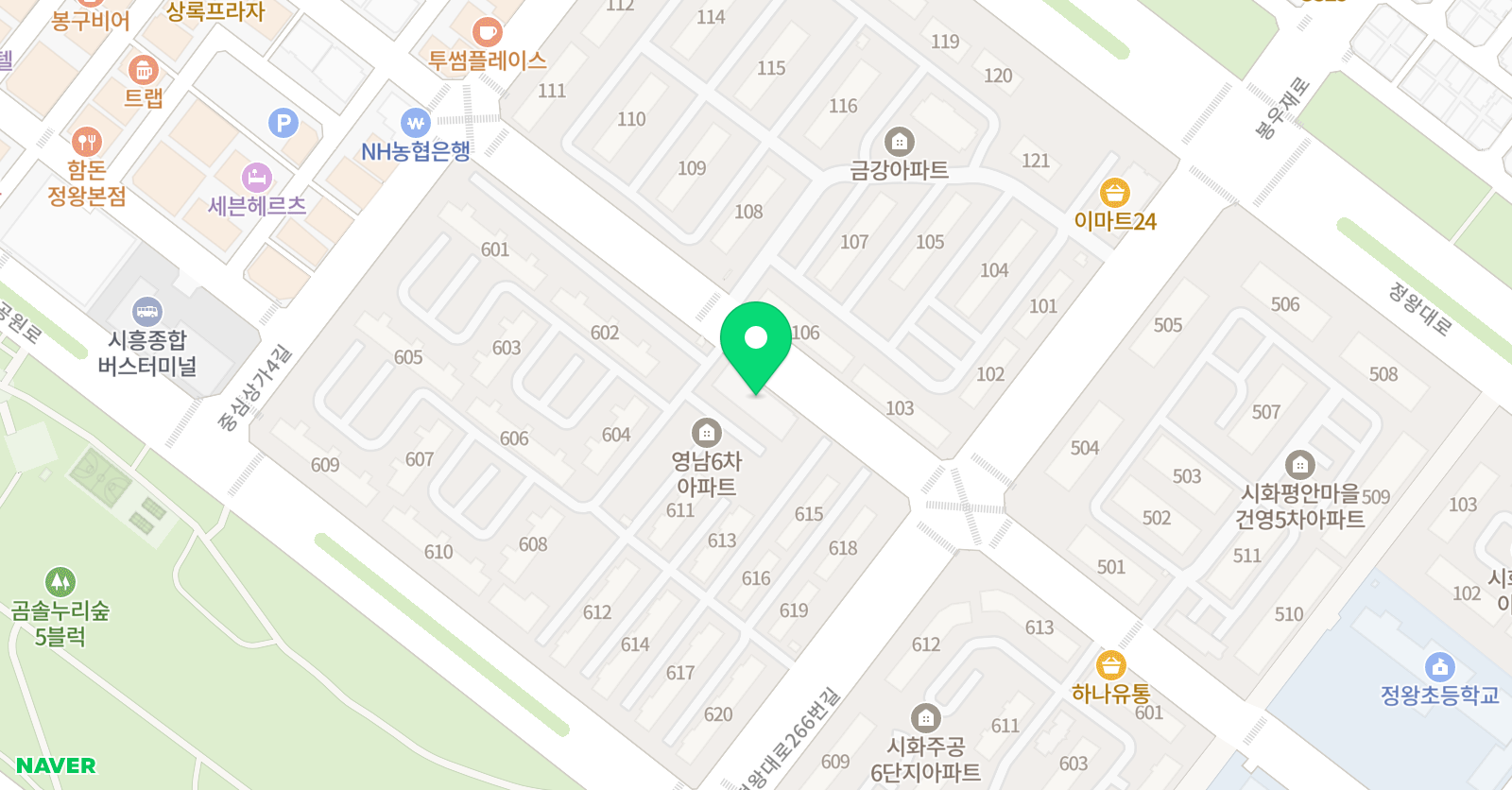 정진 라이온스 태권도장 위치