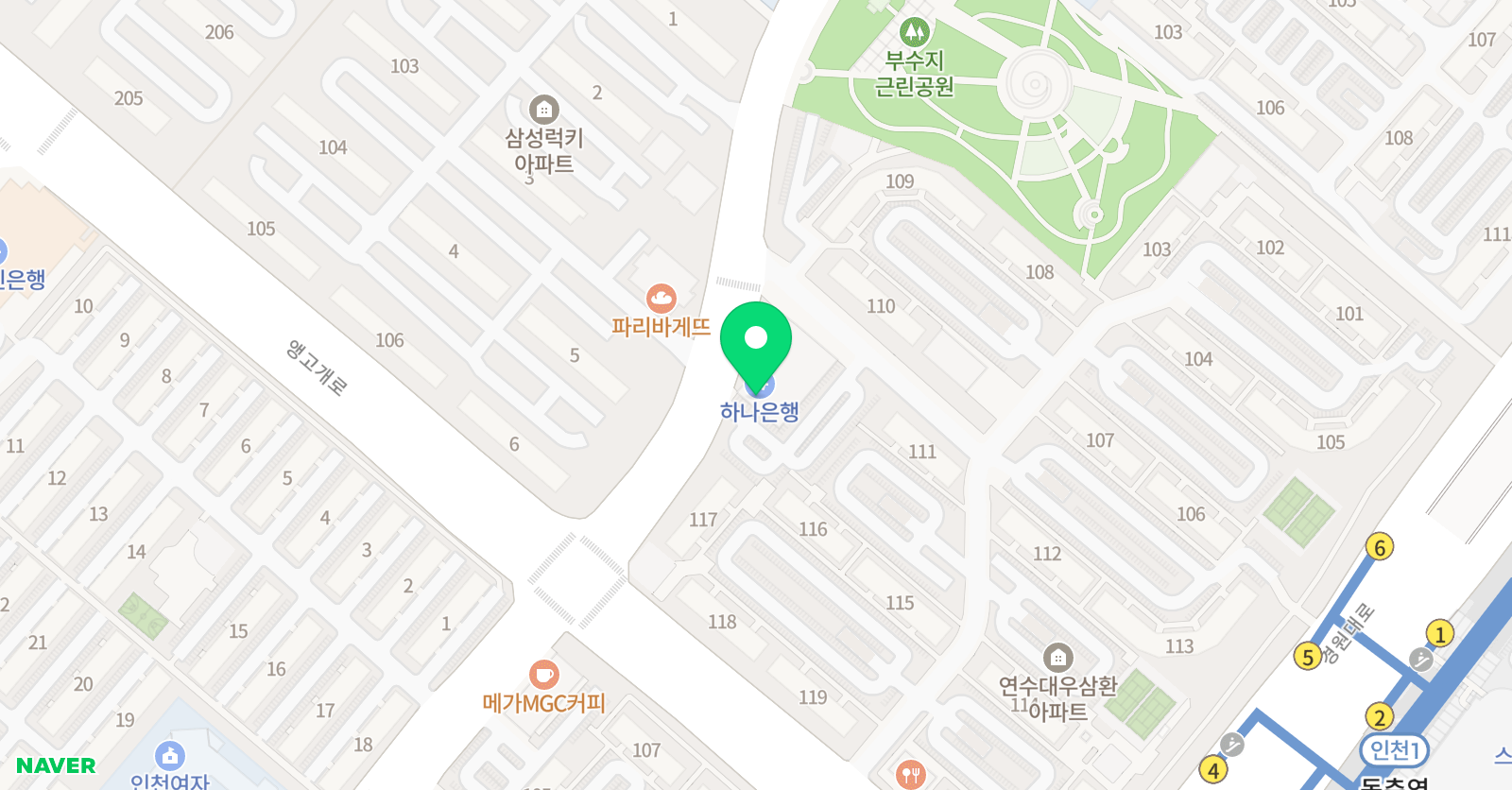 백호 태권도장 위치