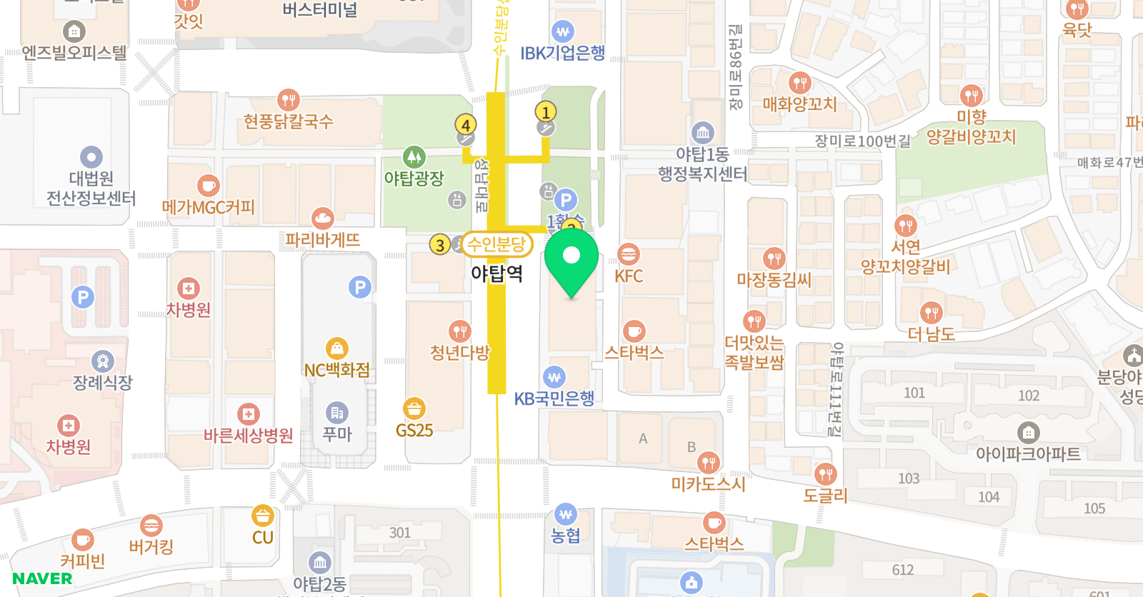 돌핀 수영 위치