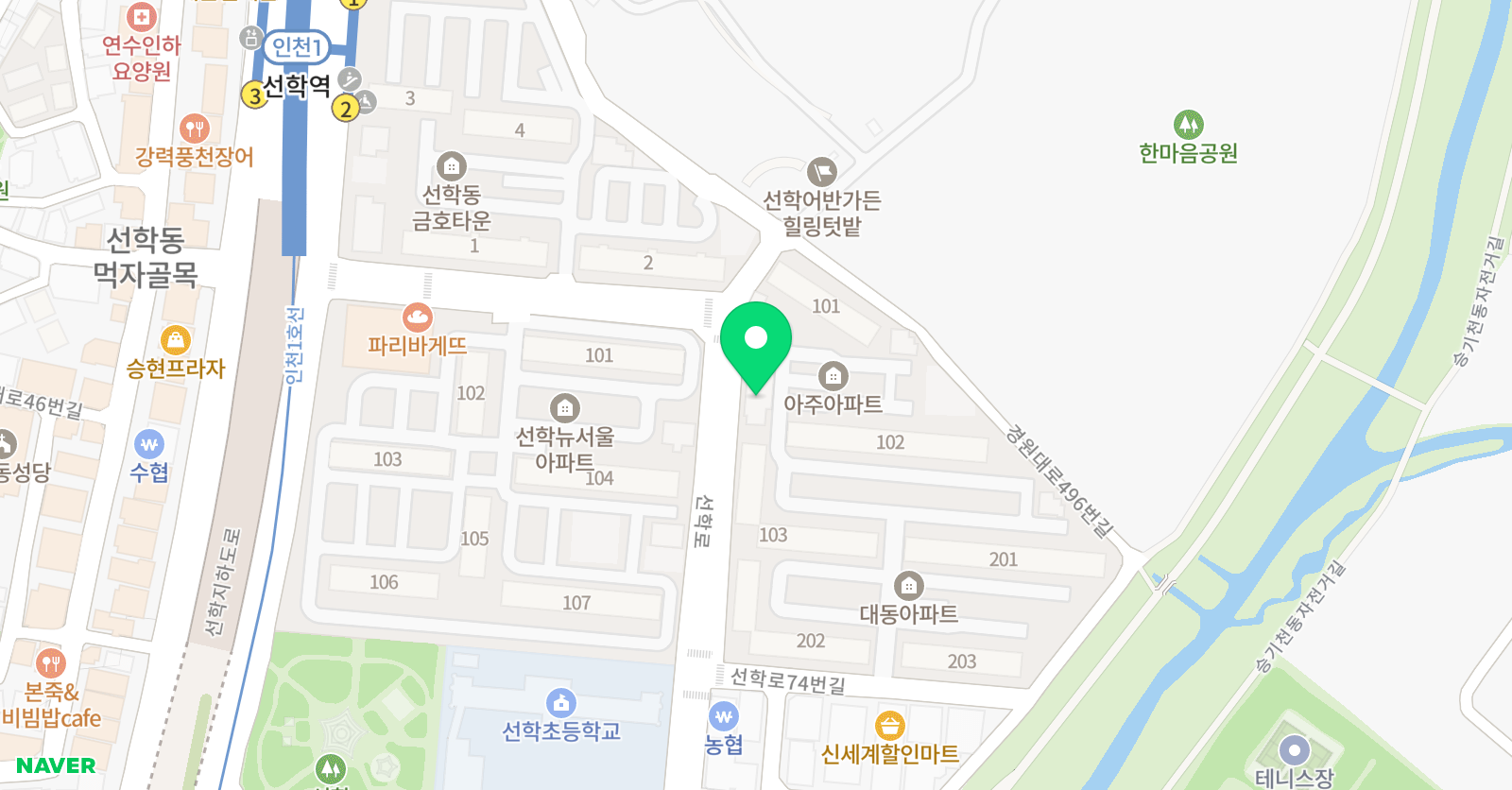 김미경 바이올린 위치