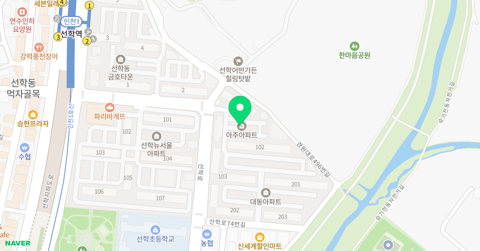 한국체대 태권스쿨 위치