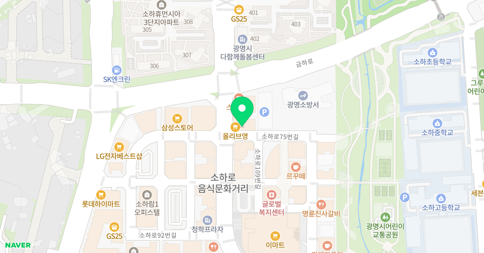 키로프발레아카데미 위치