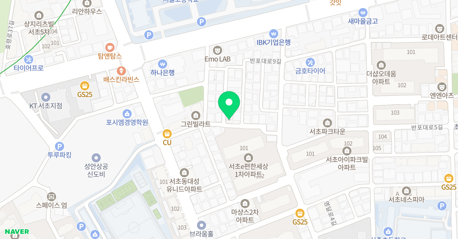 세로토닌 수학 위치