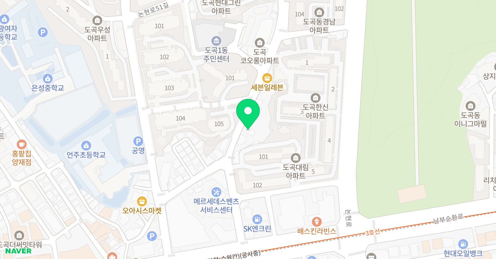 피아노나무 위치