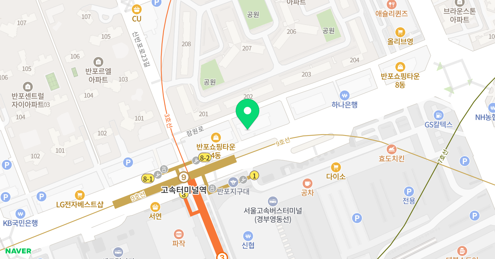 정 바이올린 위치