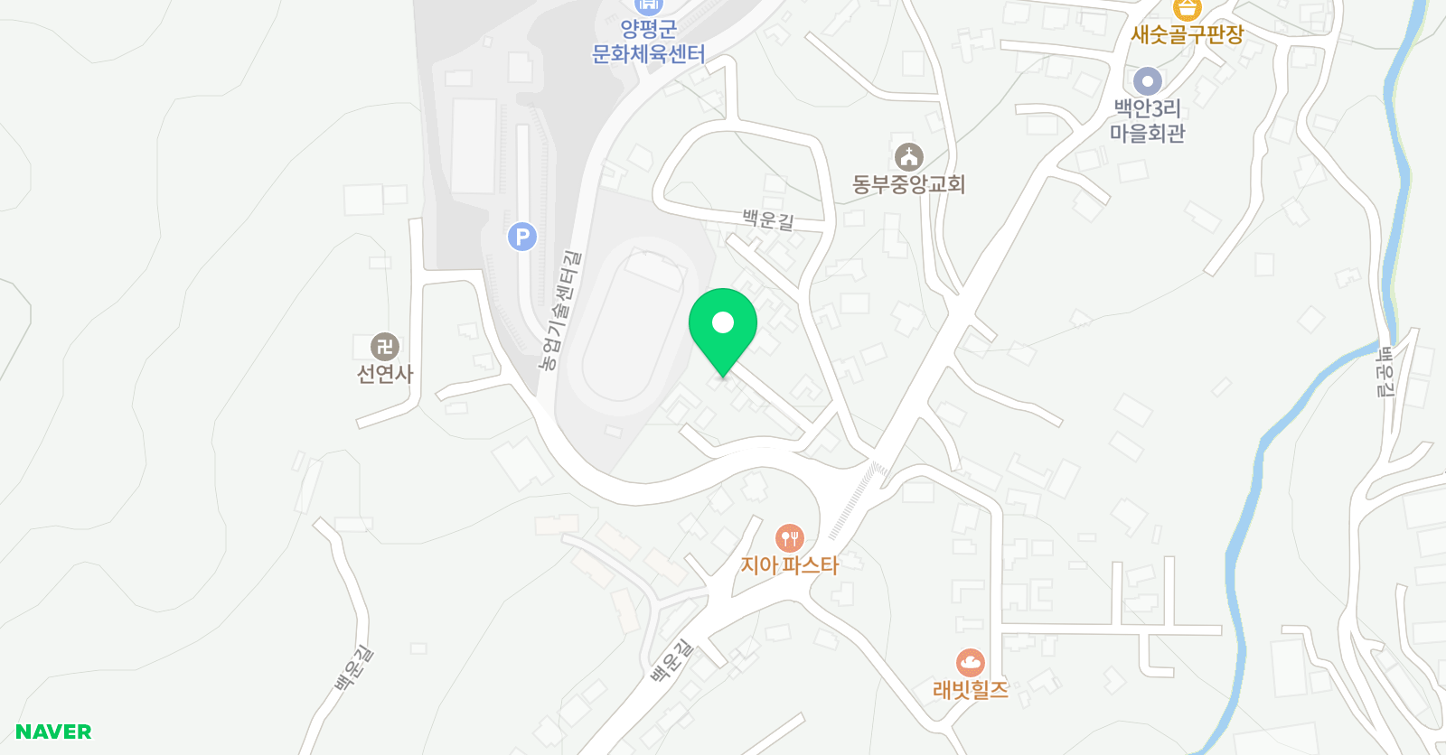 하쿠나마타타 위치
