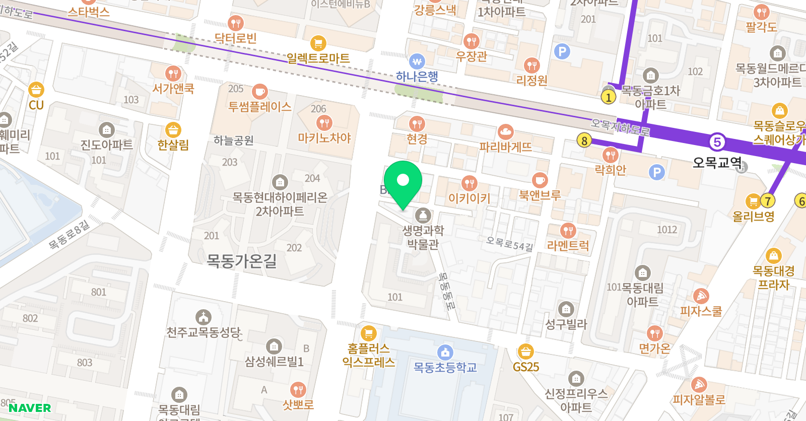 Fortis Collegiate 어학원 위치