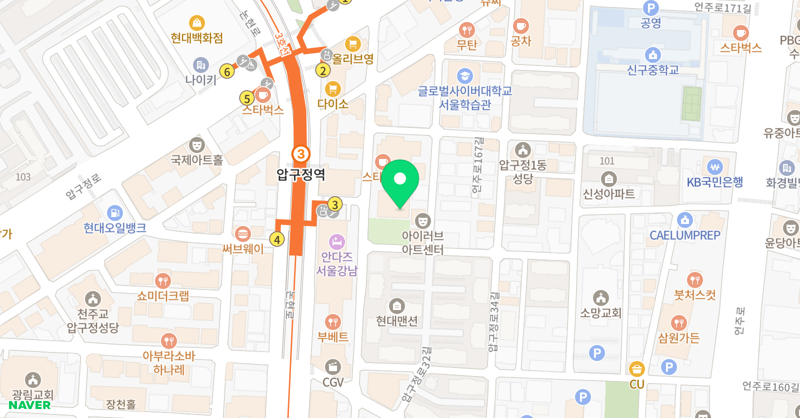 페디아플러스 압구정브랜치 위치
