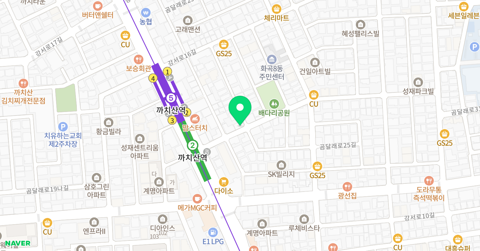 용인대엘리트 태권도장 위치