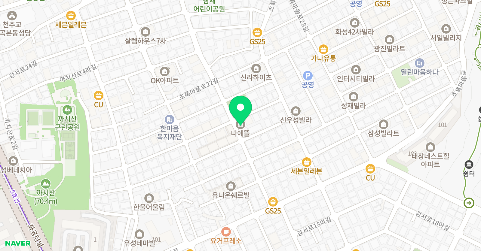 드림스터디 위치