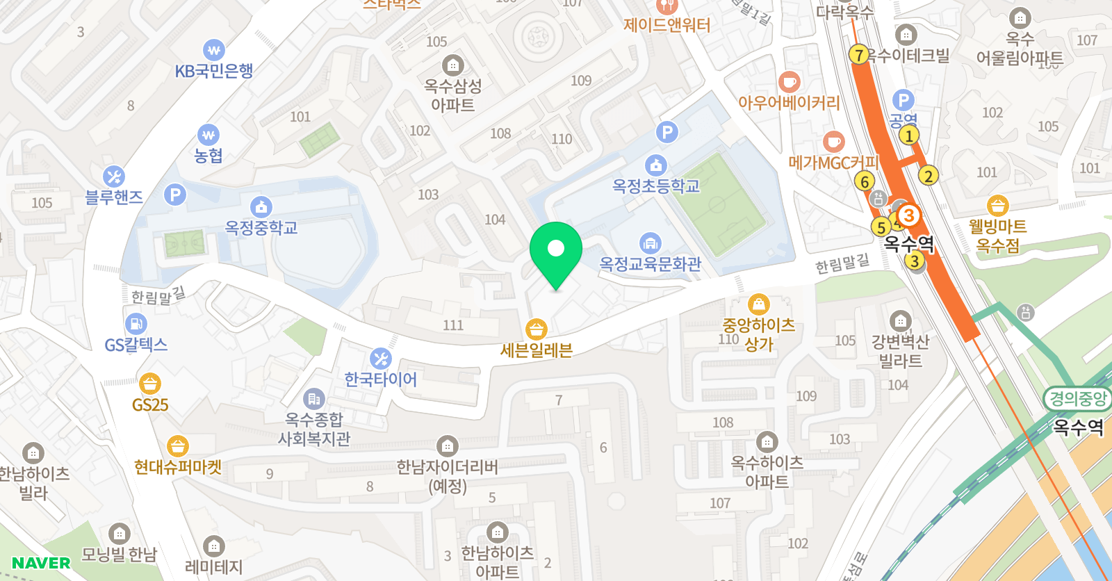팝콘나무 미술 위치