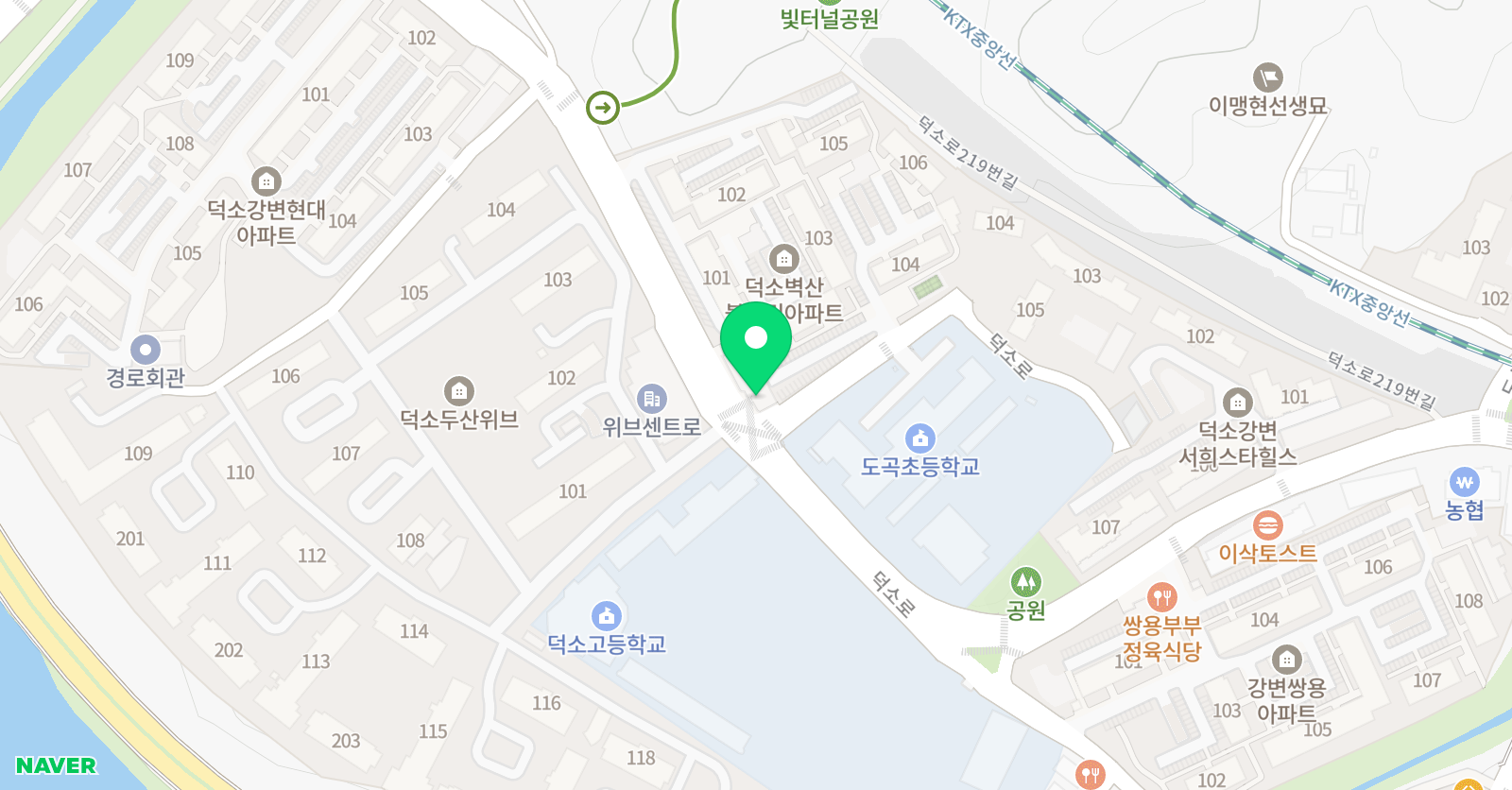 용인대도곡 체육관 위치