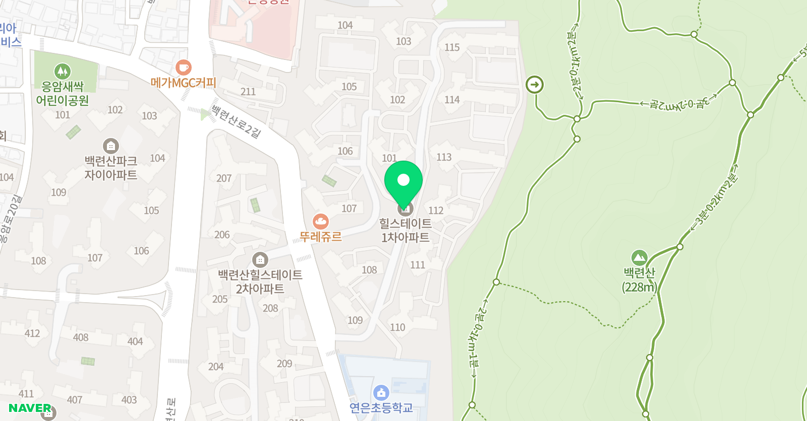 씨드 잉글리시 위치