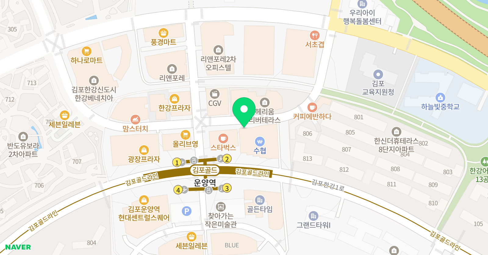 리아 리듬체조 위치