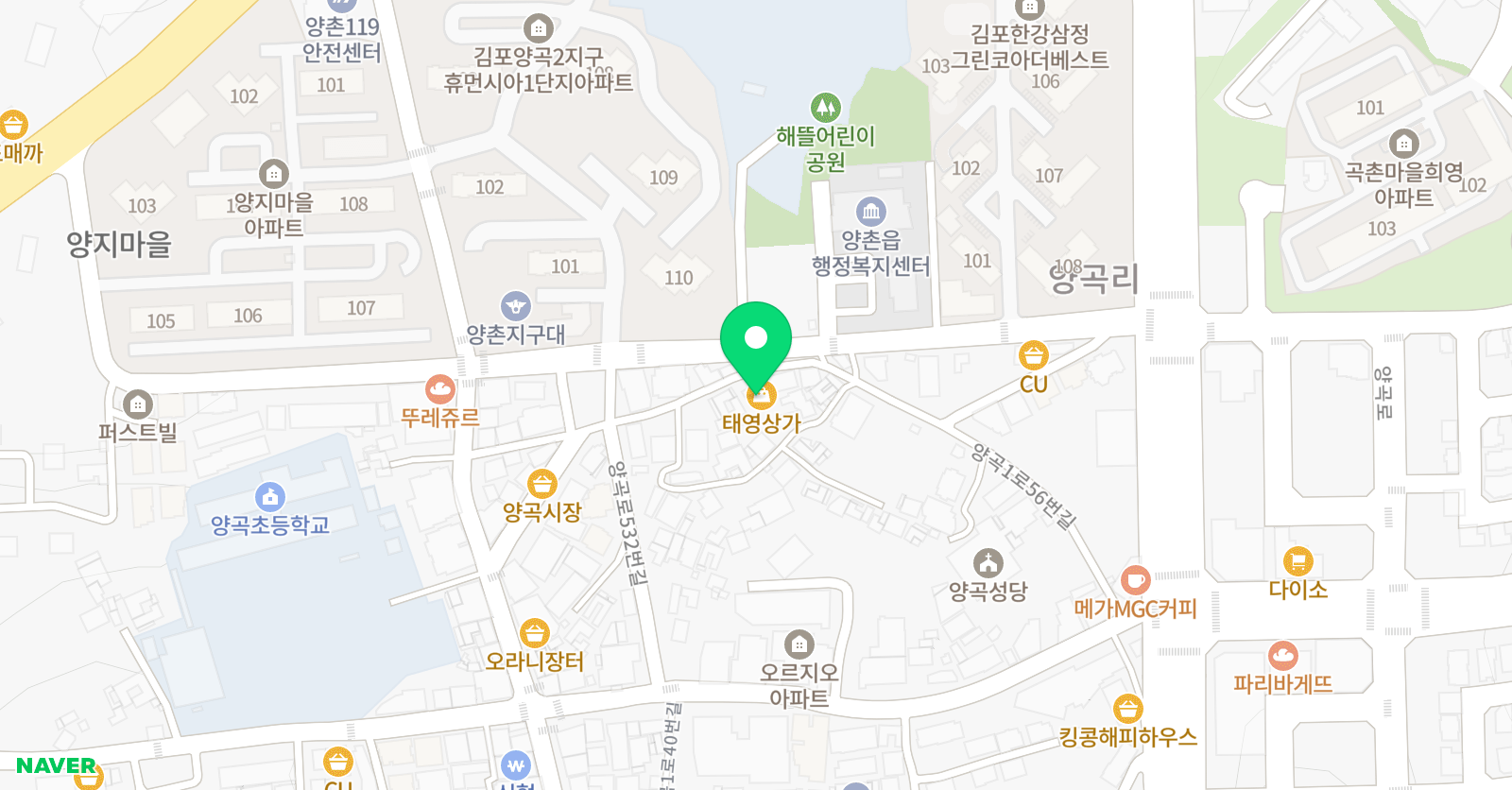 딩고원어민영어회화 위치