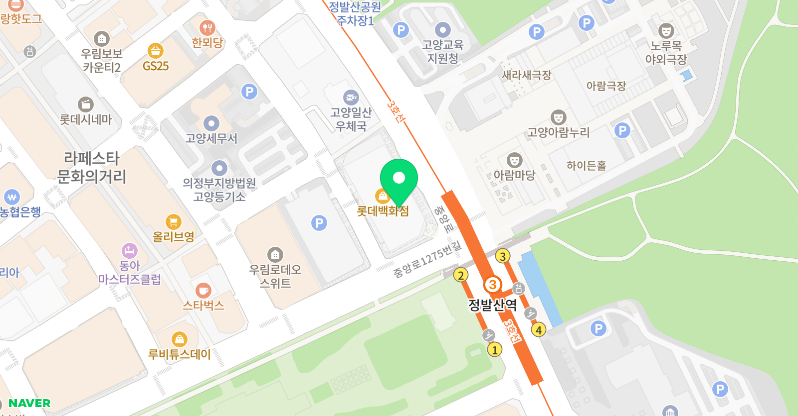 뮤닥터 롯데백화점 일산직영점 위치