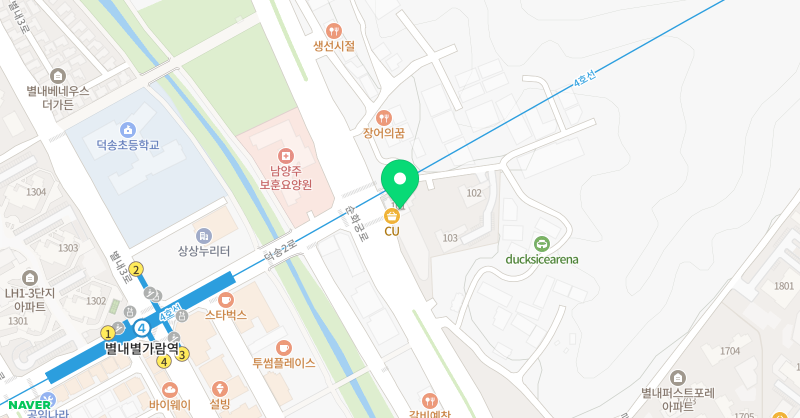 엘라 바이올린비올라 위치