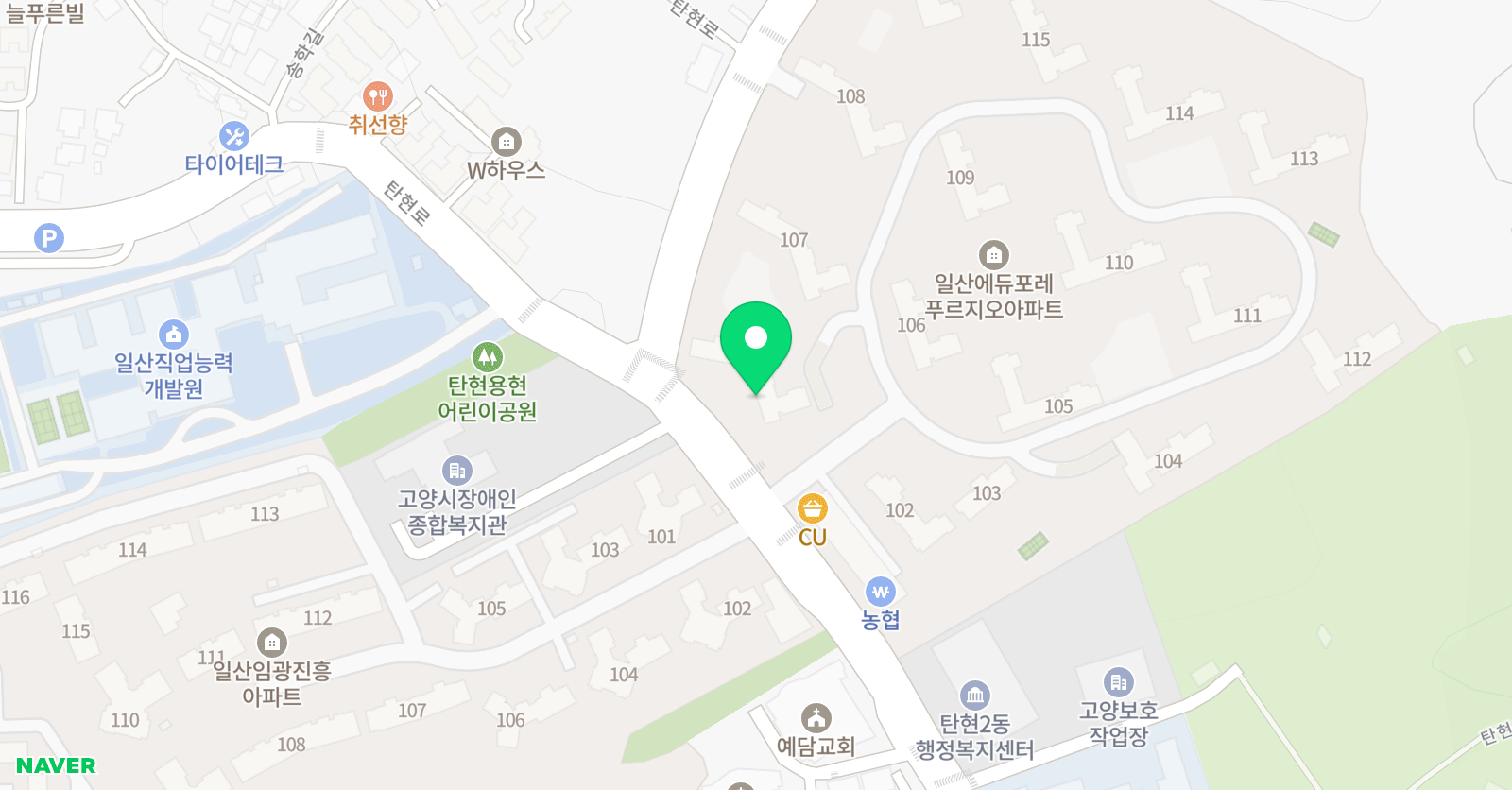 뉴욕보니 잉글리시 위치