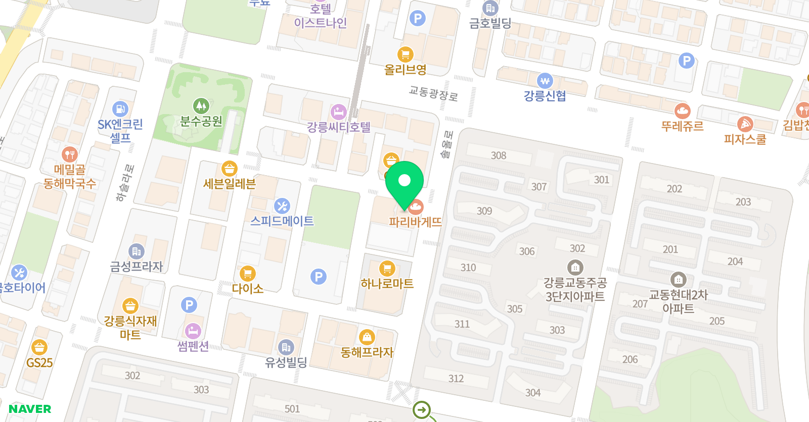 나무 어학원 위치