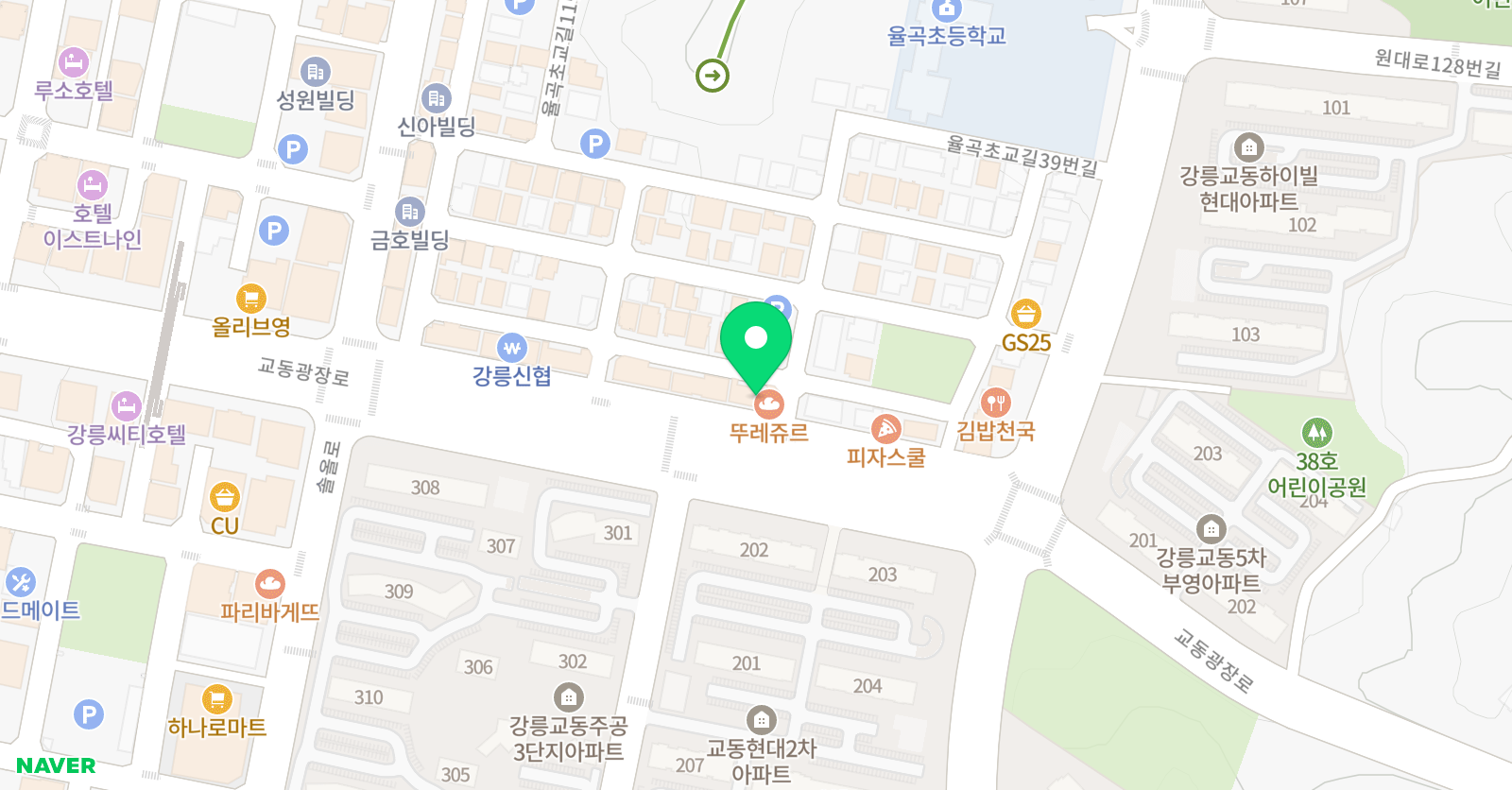 와이즈만 영재교육 강릉학원 위치
