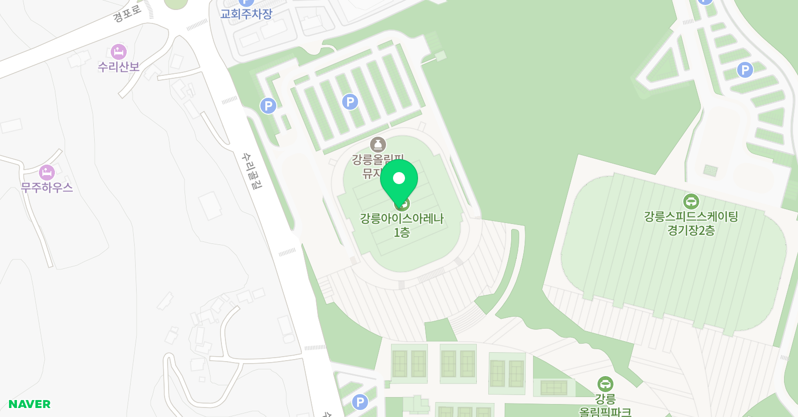 아레나 수영장 위치