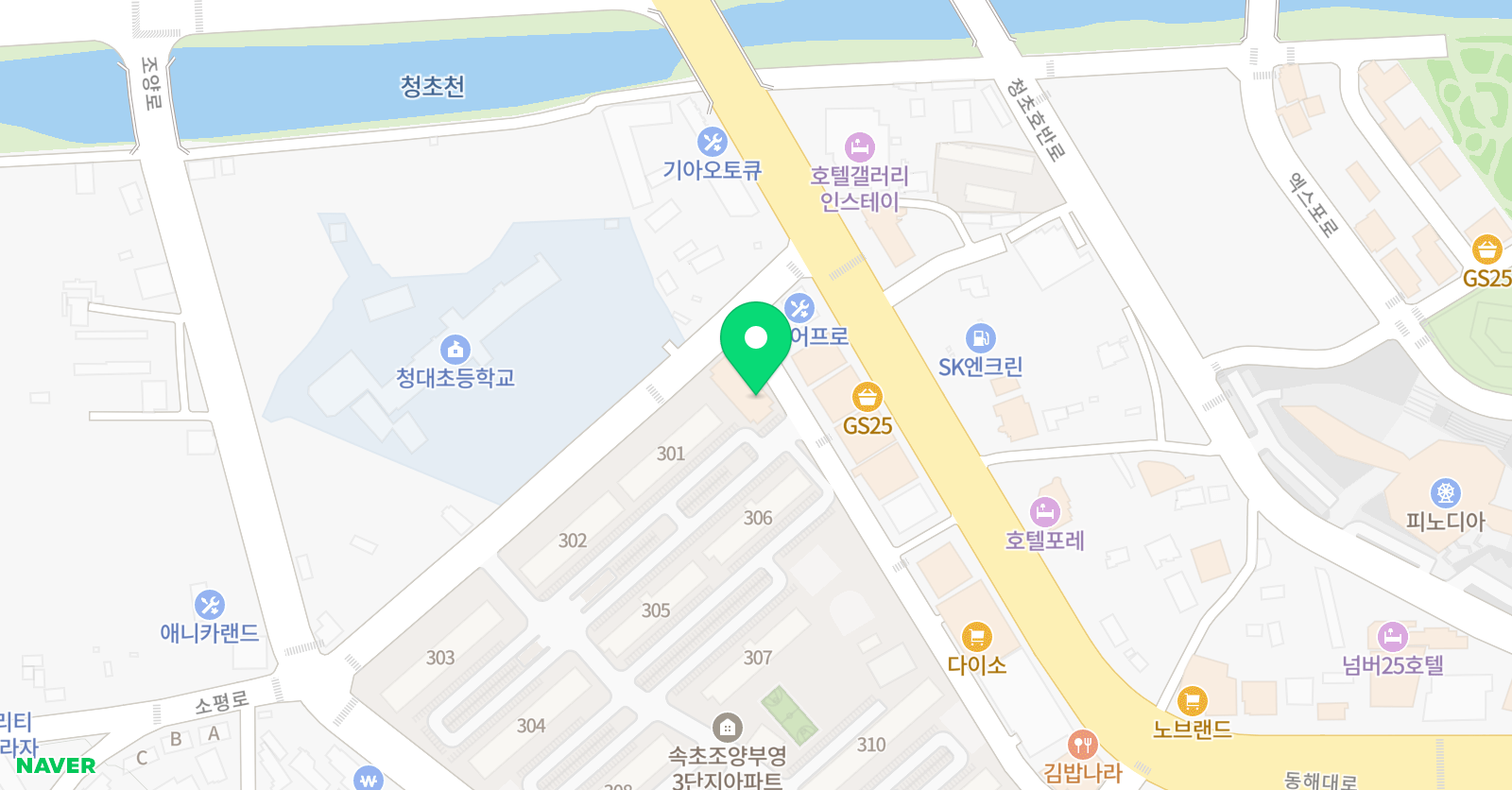 잡스코딩 속초센터 위치