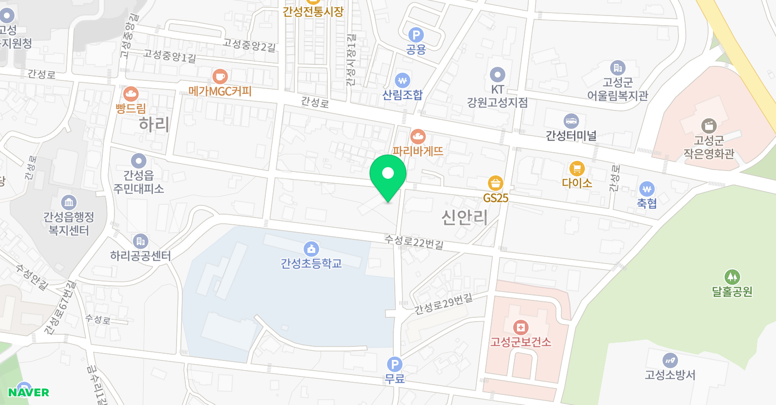 비호 태권도 위치